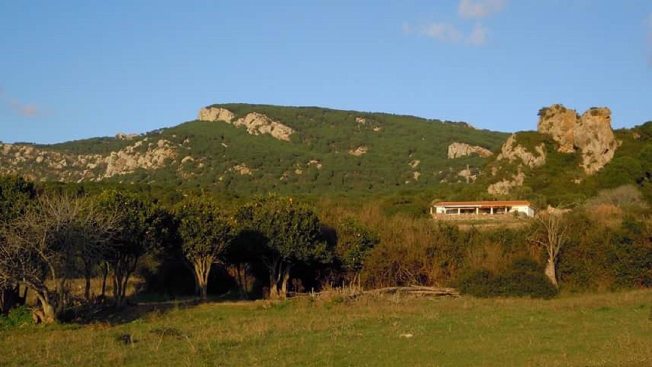 Photo of Outdoor in Bolonia