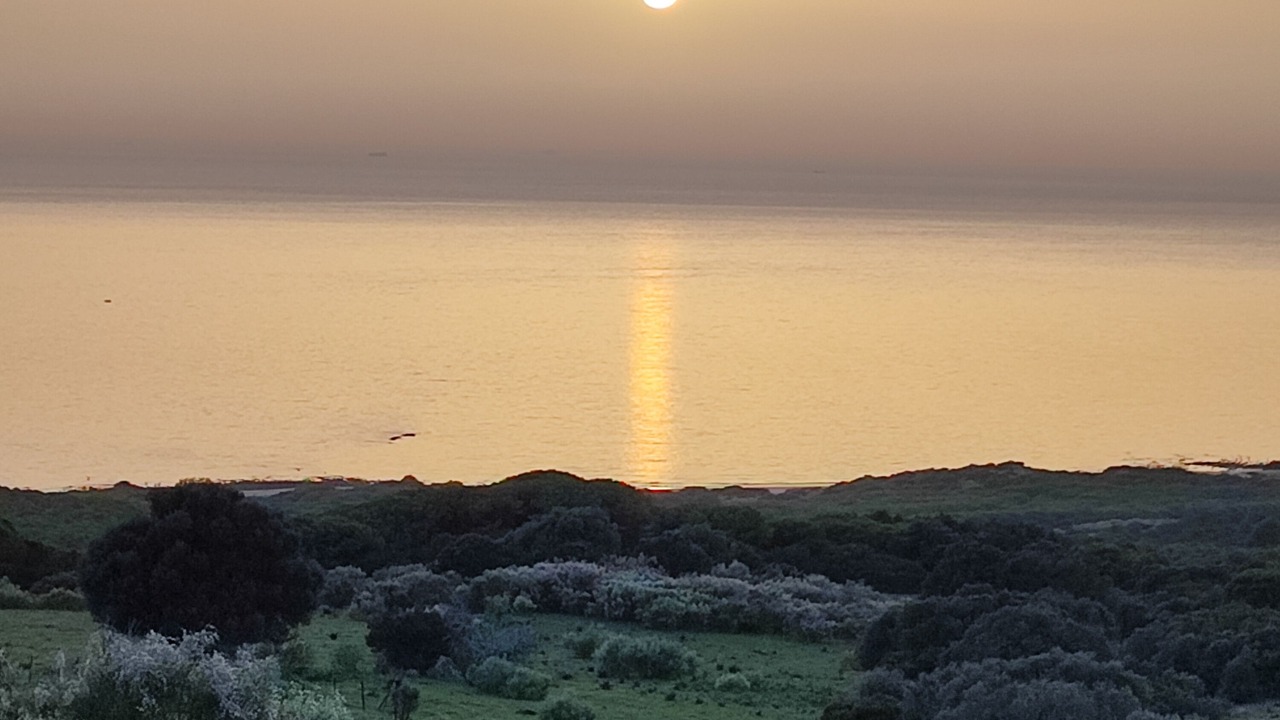 Photo of Others in Bolonia