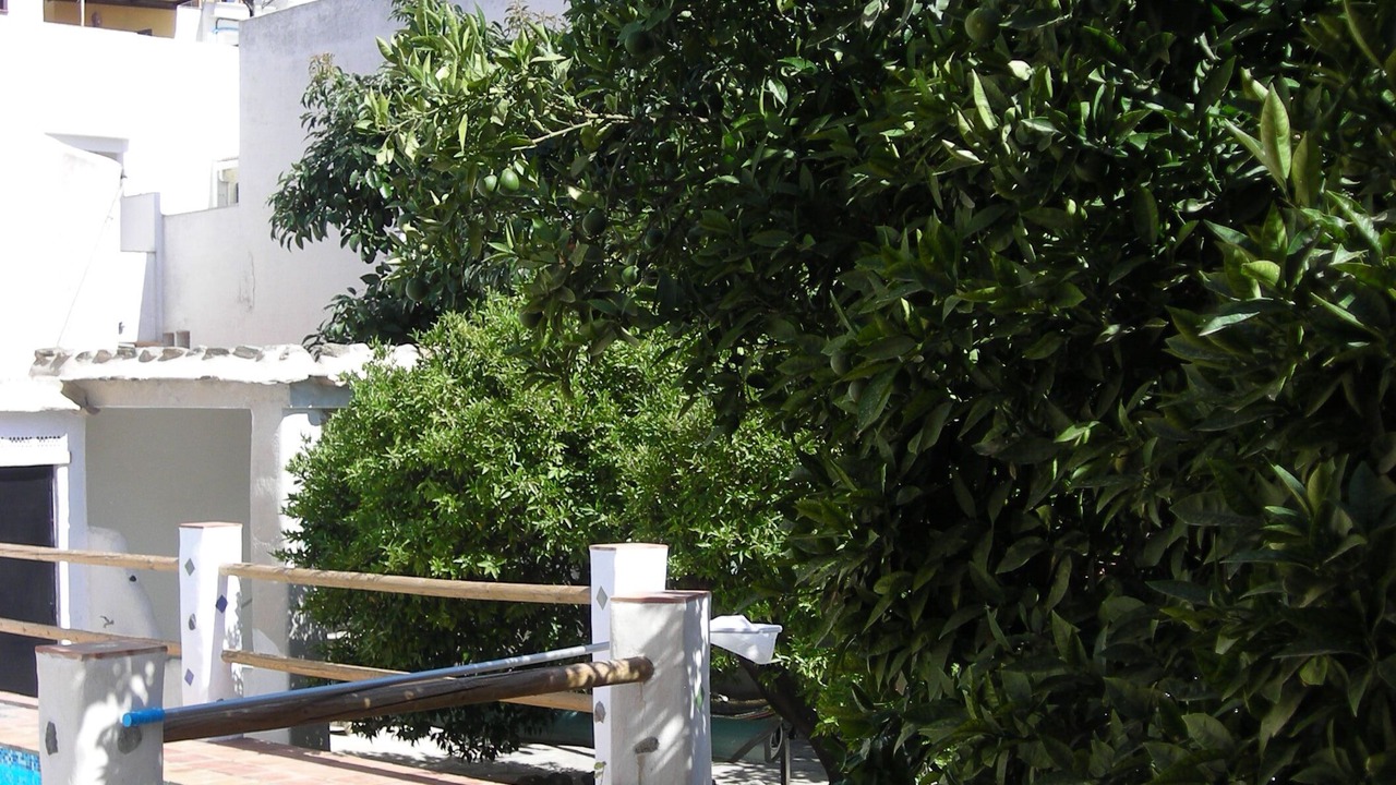 Photo of Outdoor in Orgiva