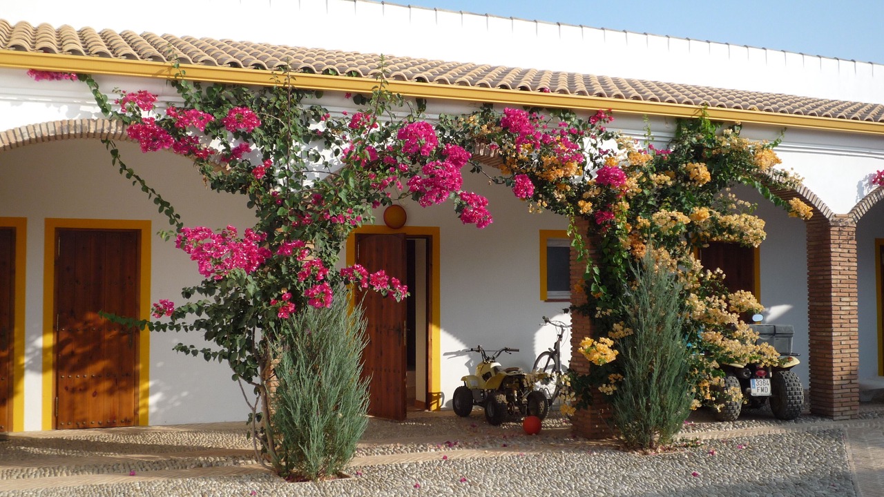 Photo of Outdoor in Villamartin