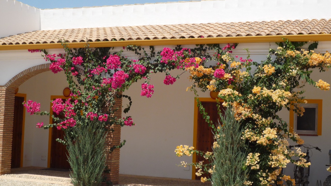Photo of Outdoor in Villamartin