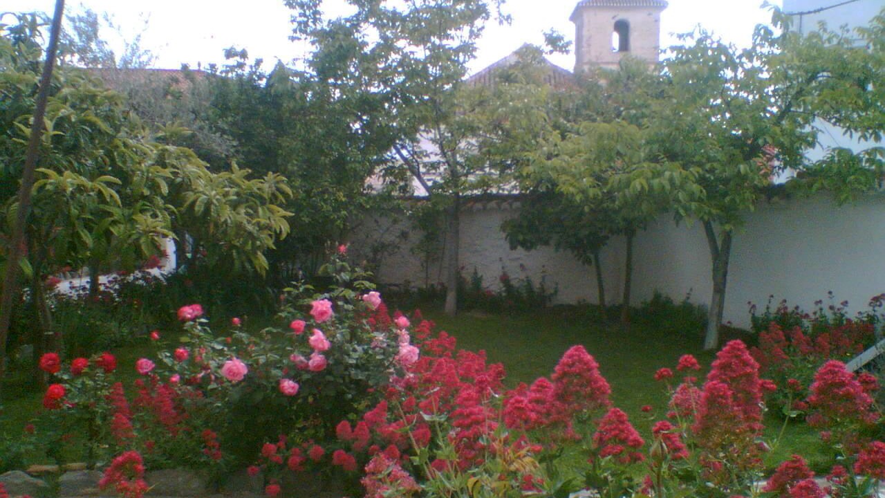 Photo of Outdoor in Lecrin