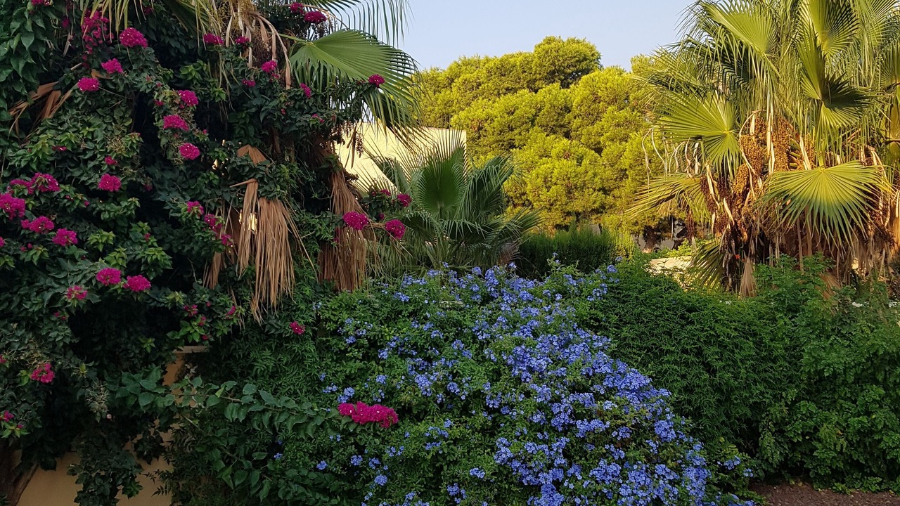 Photo of Outdoor in Isla Plana