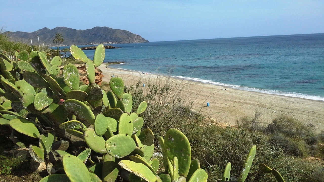 Photo of Others in Isla Plana
