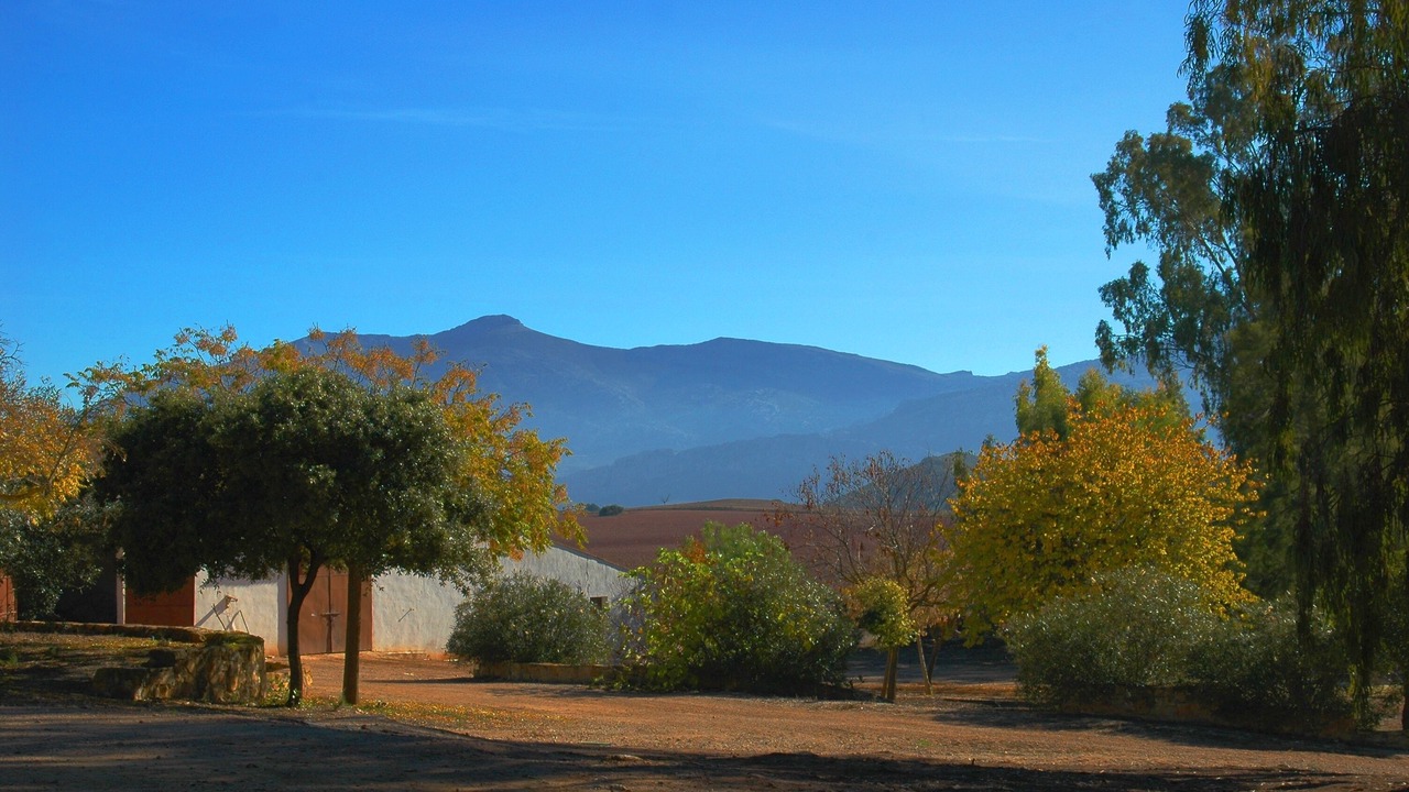 Photo of Outdoor in Campillos