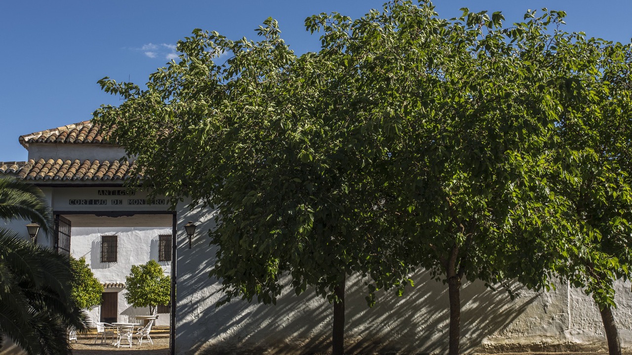 Photo of Outdoor in Campillos