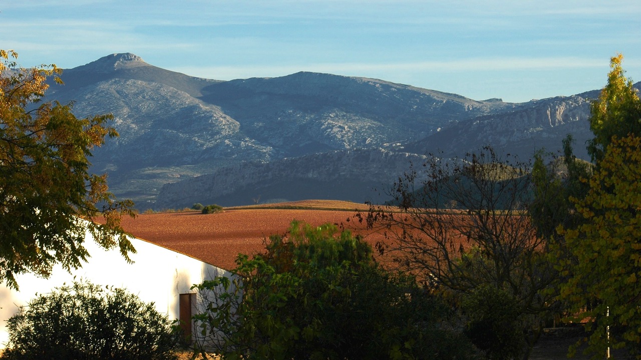 Photo of Outdoor in Campillos