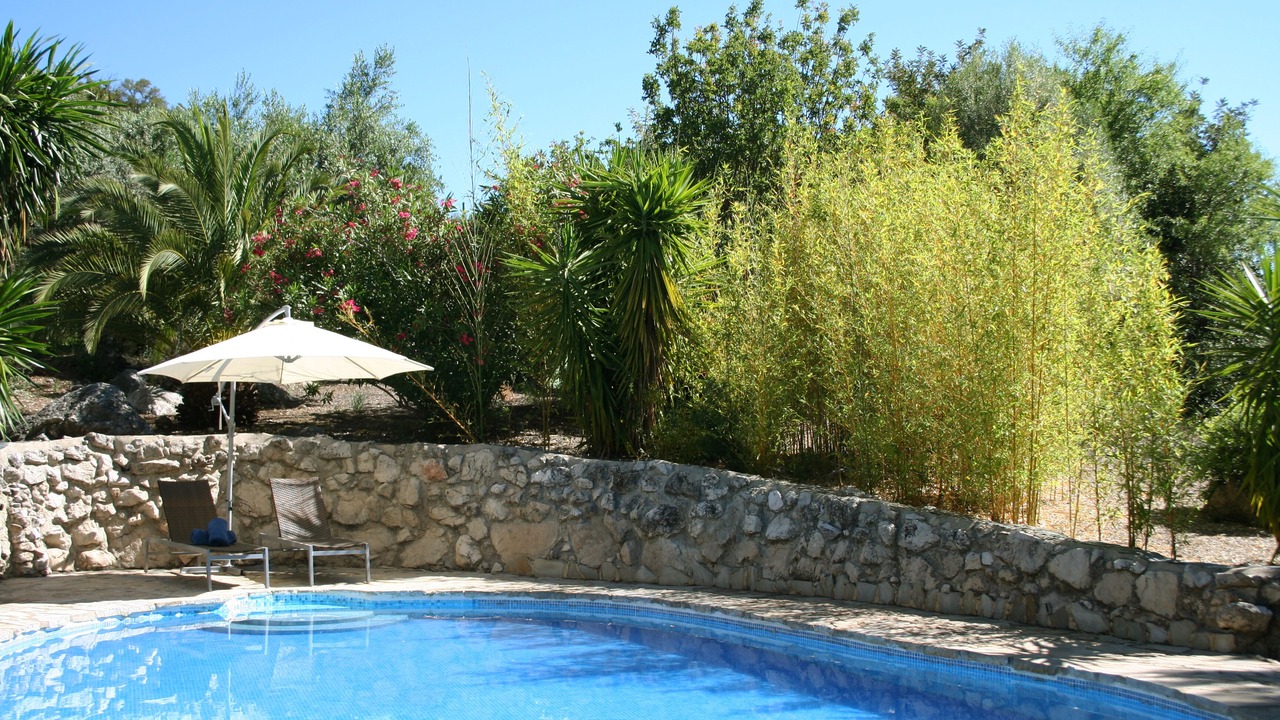 Photo of Outdoor in Montecorto