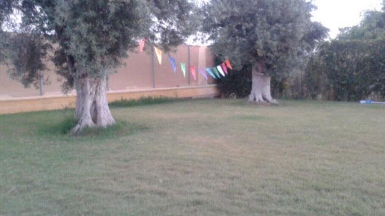 Photo of Outdoor in Los Palacios y Villafranca