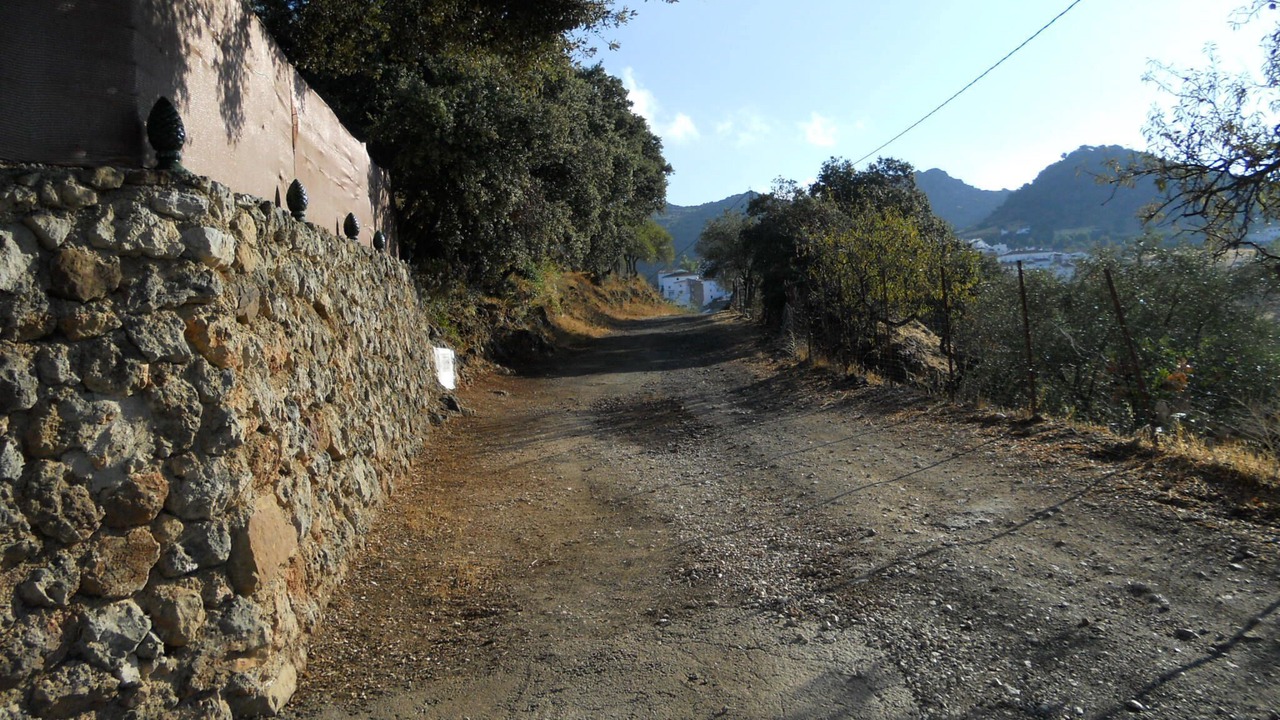 Photo of Outdoor in Alpandeire