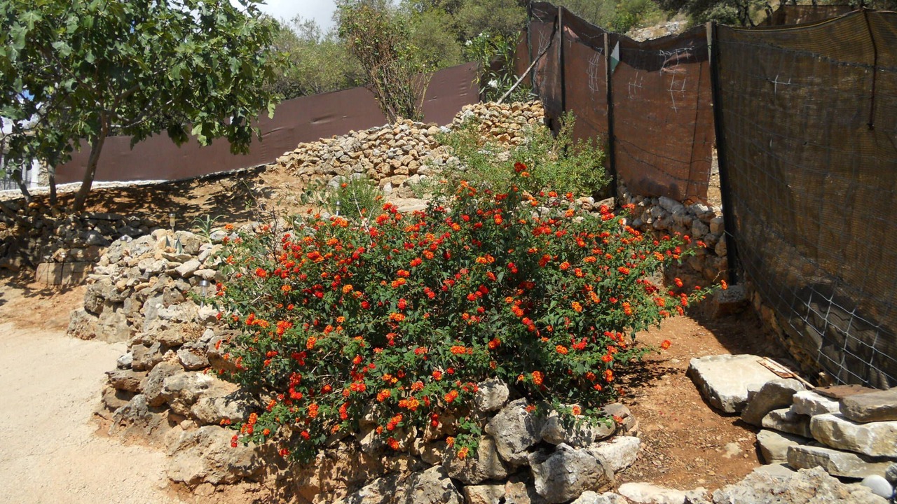 Photo of Outdoor in Alpandeire