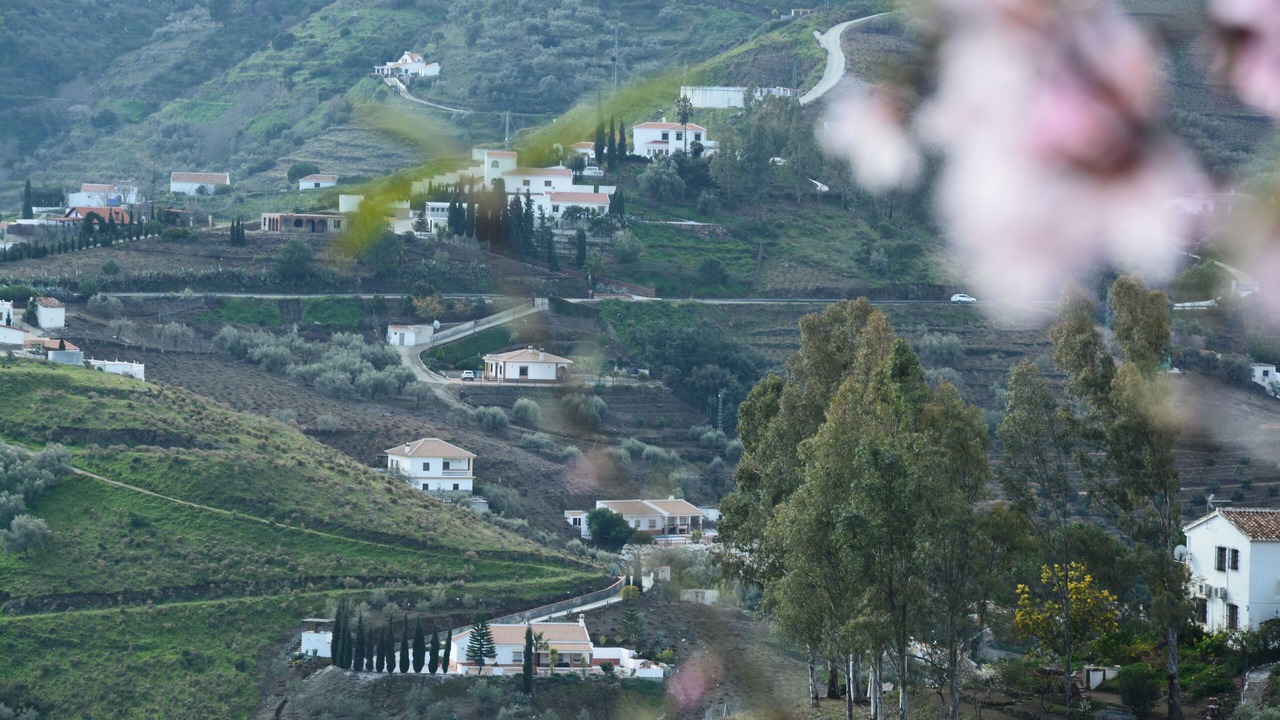 Photo of Outdoor in Competa