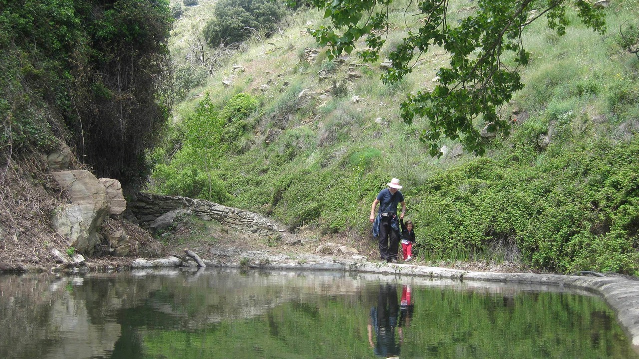 Photo of Others in Laroya