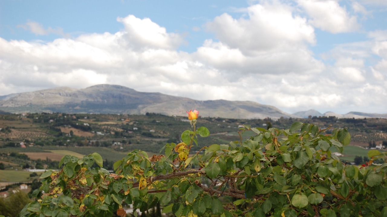 Photo of Outdoor in Ronda