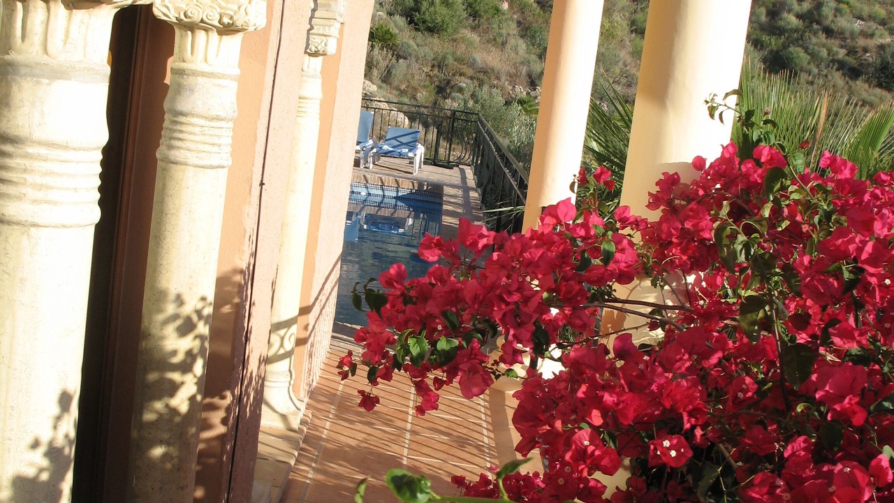 Photo of Outdoor in Turre