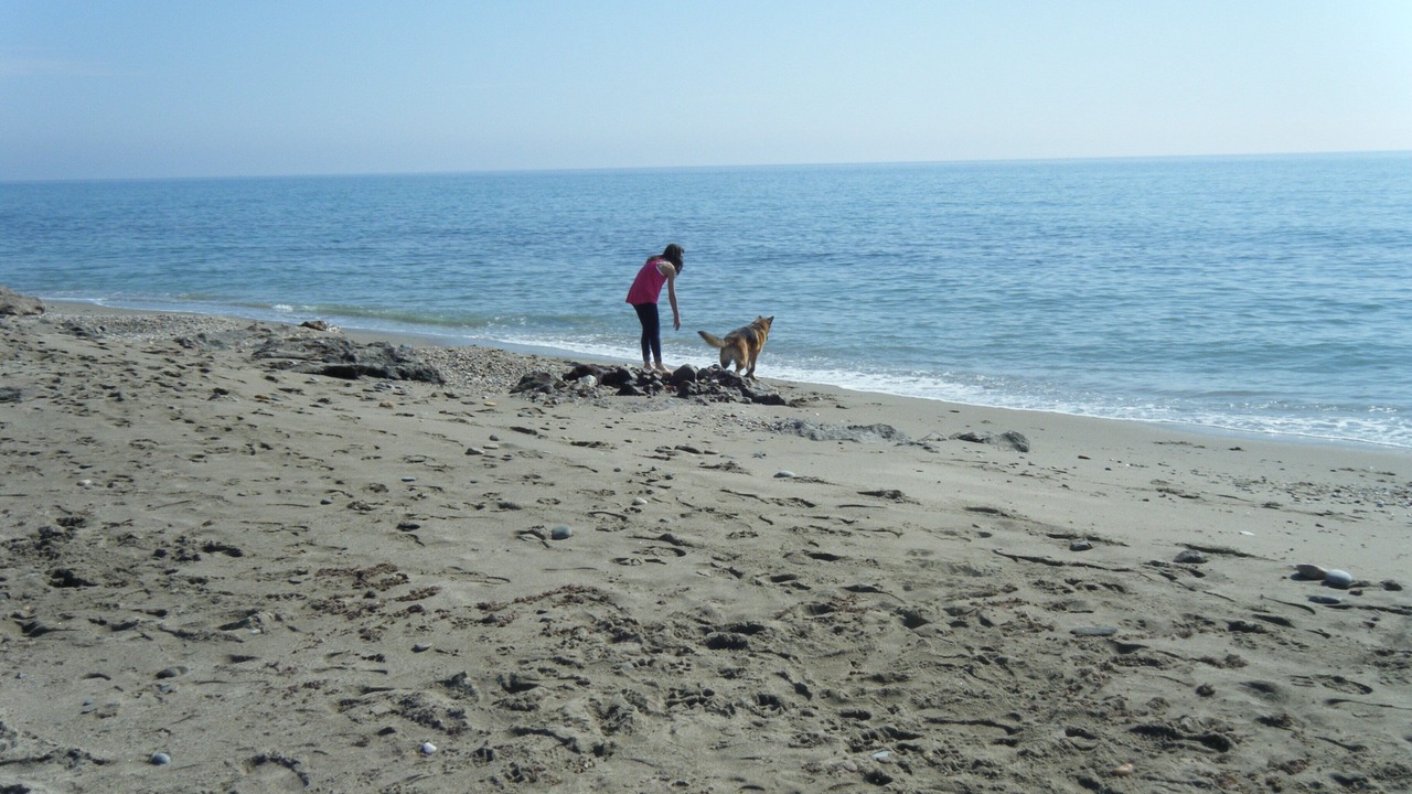 Photo of Others in Turre