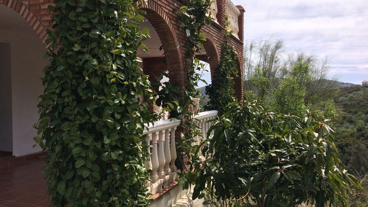 Photo of Outdoor in Sayalonga