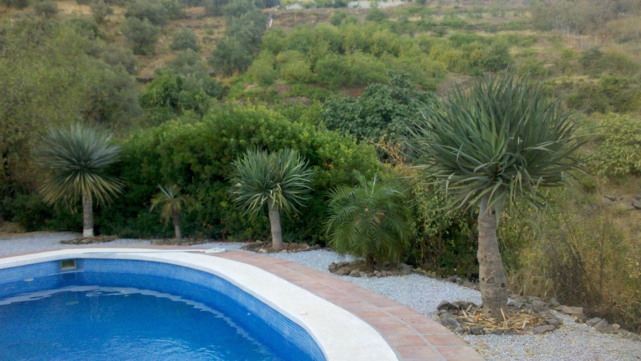 Photo of Outdoor in Sayalonga