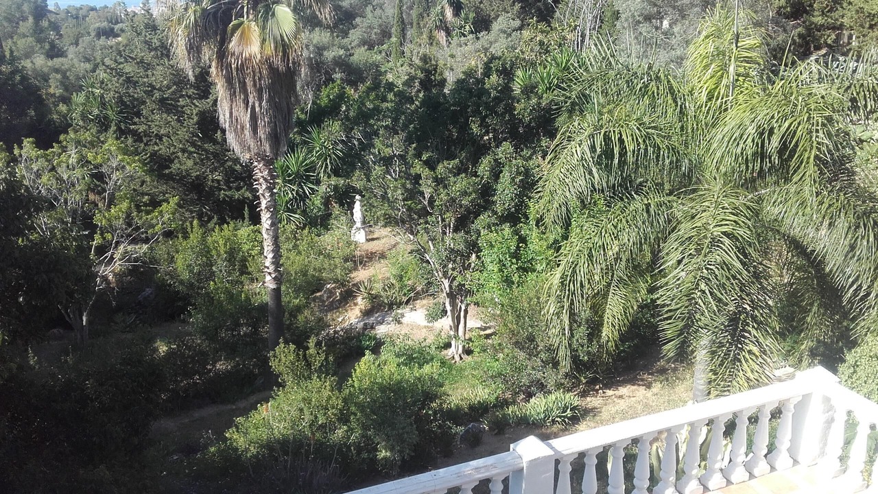 Photo of Outdoor in Mijas