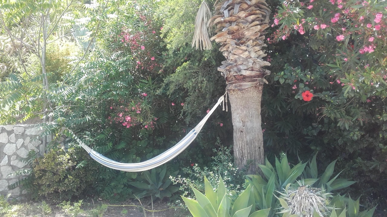 Photo of Outdoor in Mijas