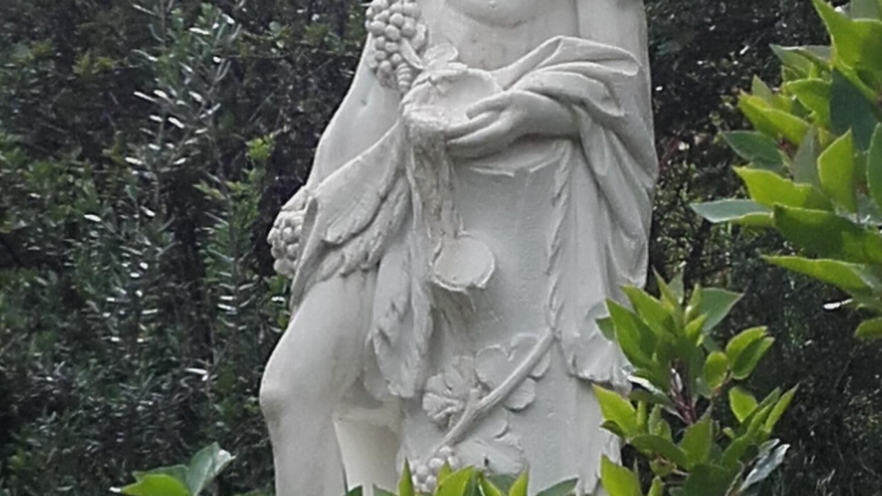 Photo of Outdoor in Mijas