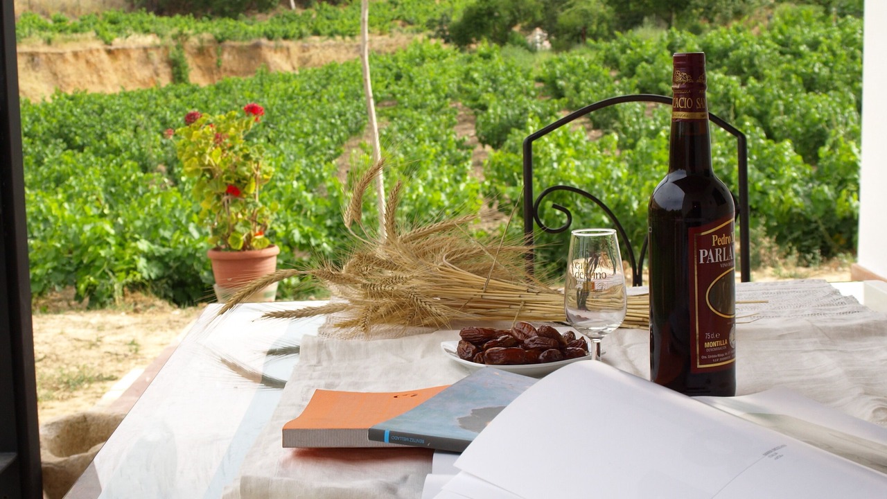 Photo of Outdoor in Montemayor