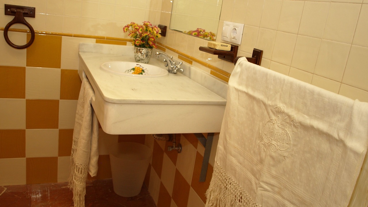 Photo of Bathroom in Montemayor