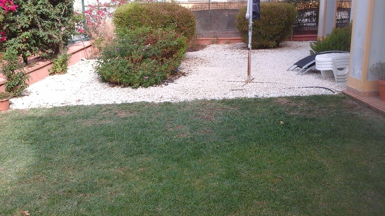 Photo of Outdoor in Costa Esuri