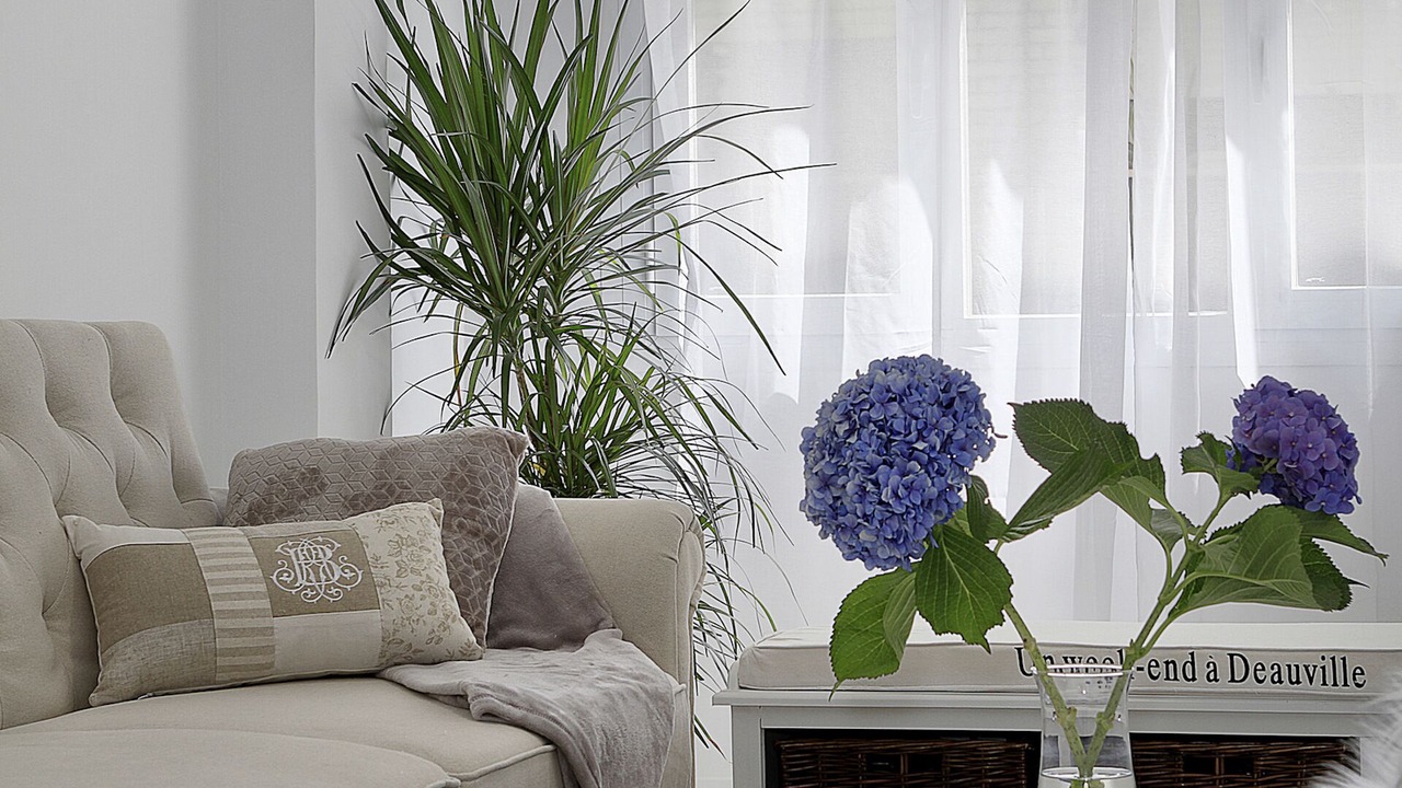 Photo of Livingroom in Figares