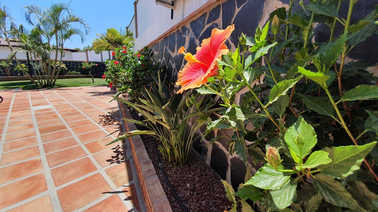 Photo of Outdoor in Frigiliana