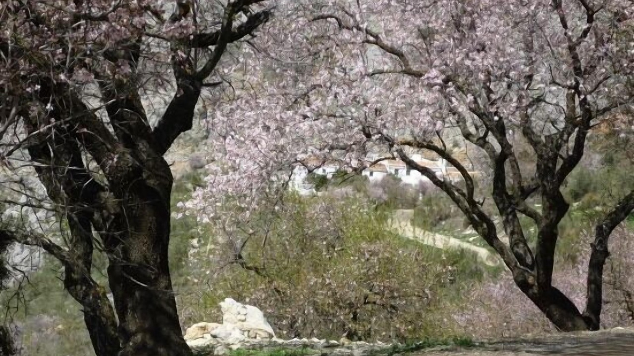 Photo of Outdoor in Periana