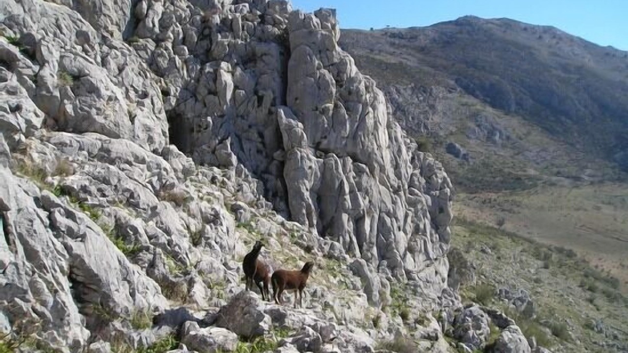 Photo of Outdoor in Periana