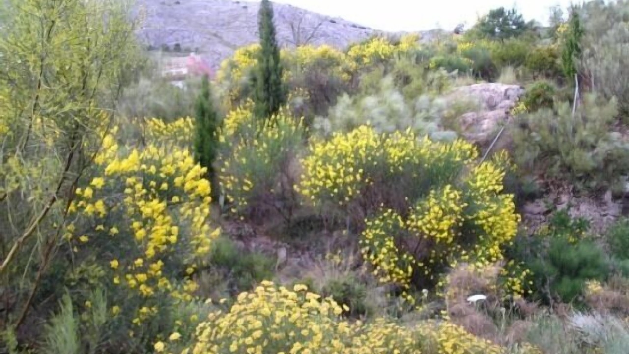 Photo of Outdoor in Periana