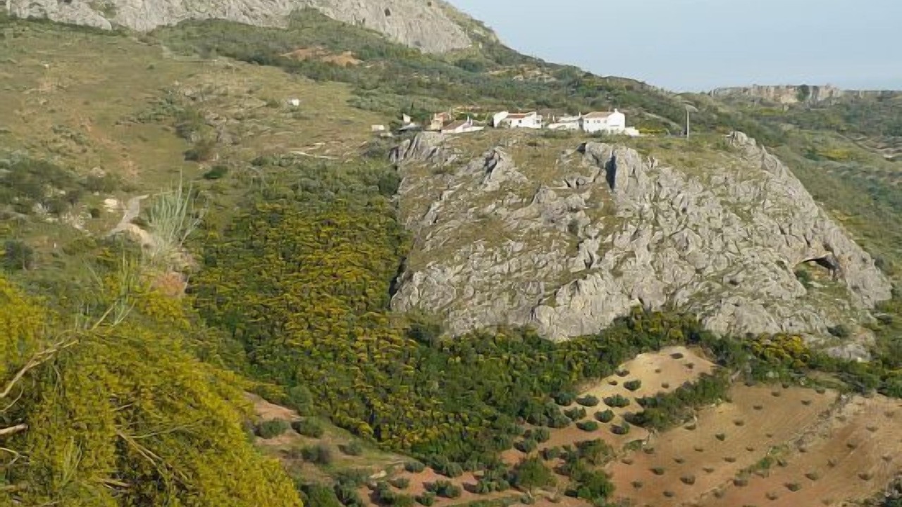 Photo of Outdoor in Periana
