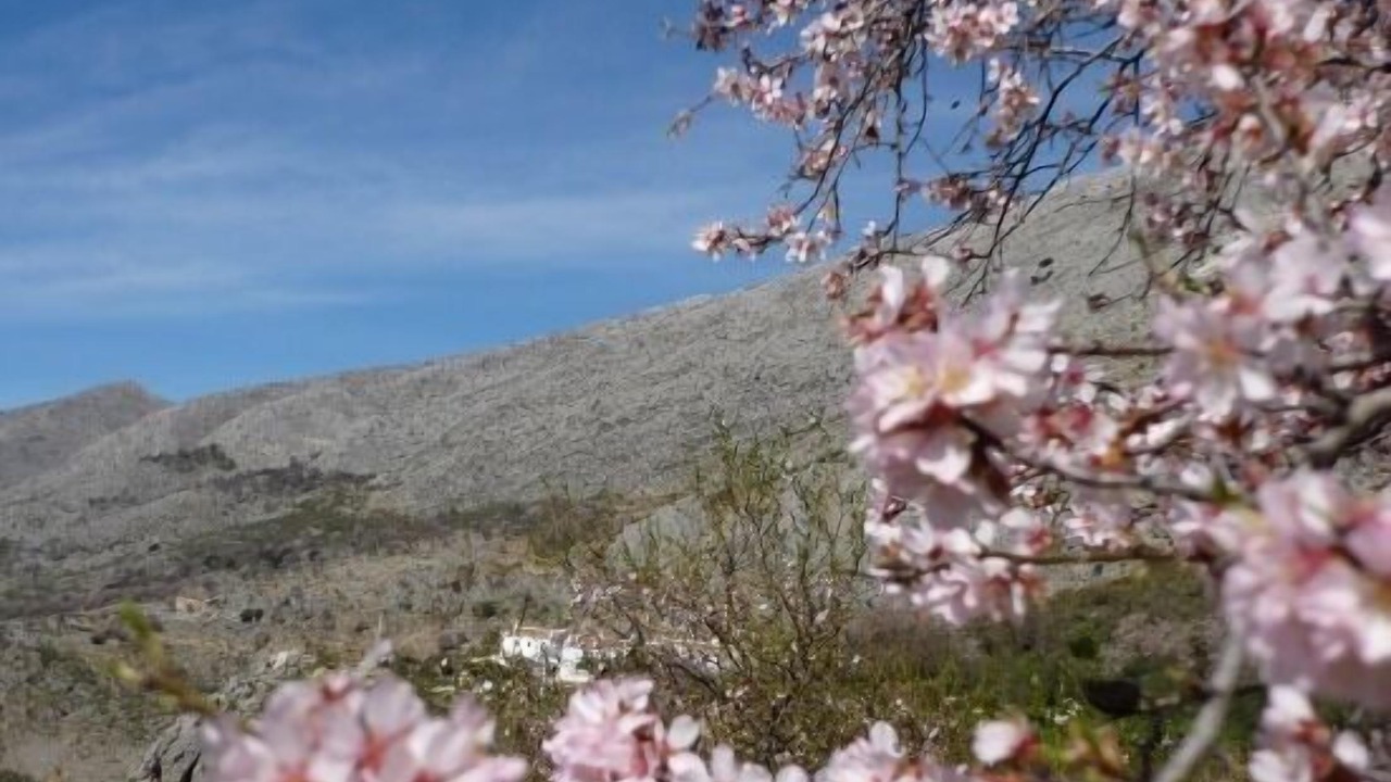 Photo of Outdoor in Periana