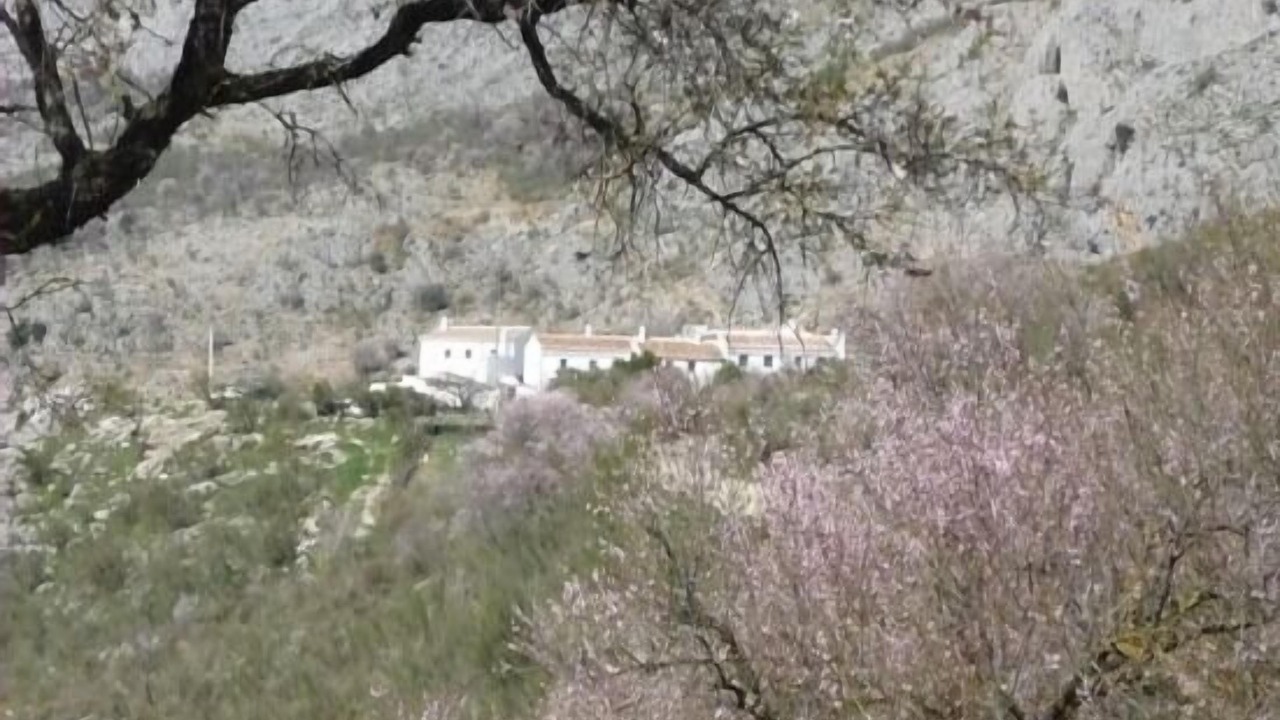 Photo of Outdoor in Periana