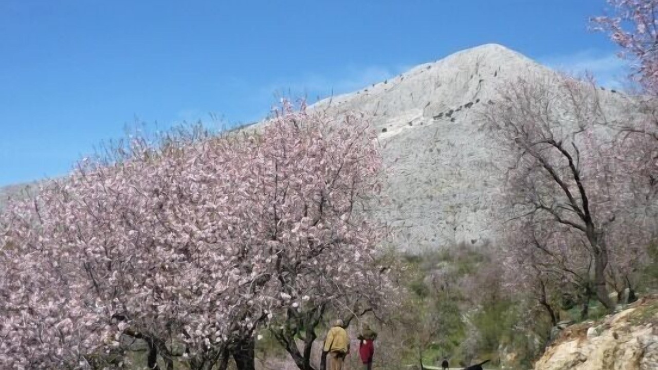 Photo of Others in Periana