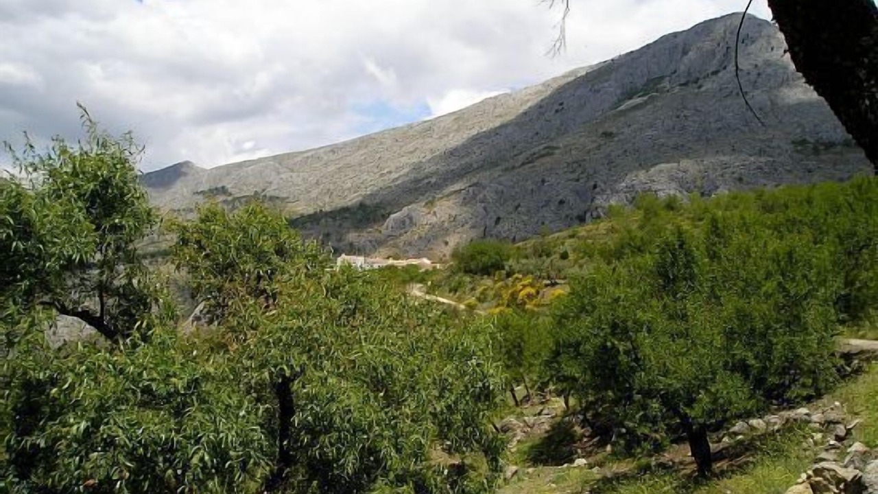 Photo of Outdoor in Periana