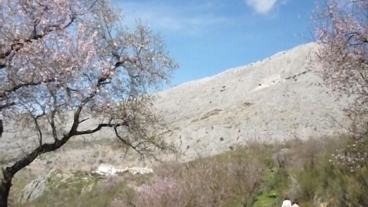Photo of Others in Periana