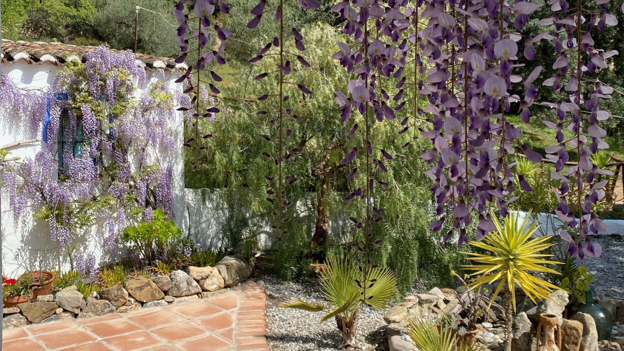 Photo of Outdoor in Alcaucin