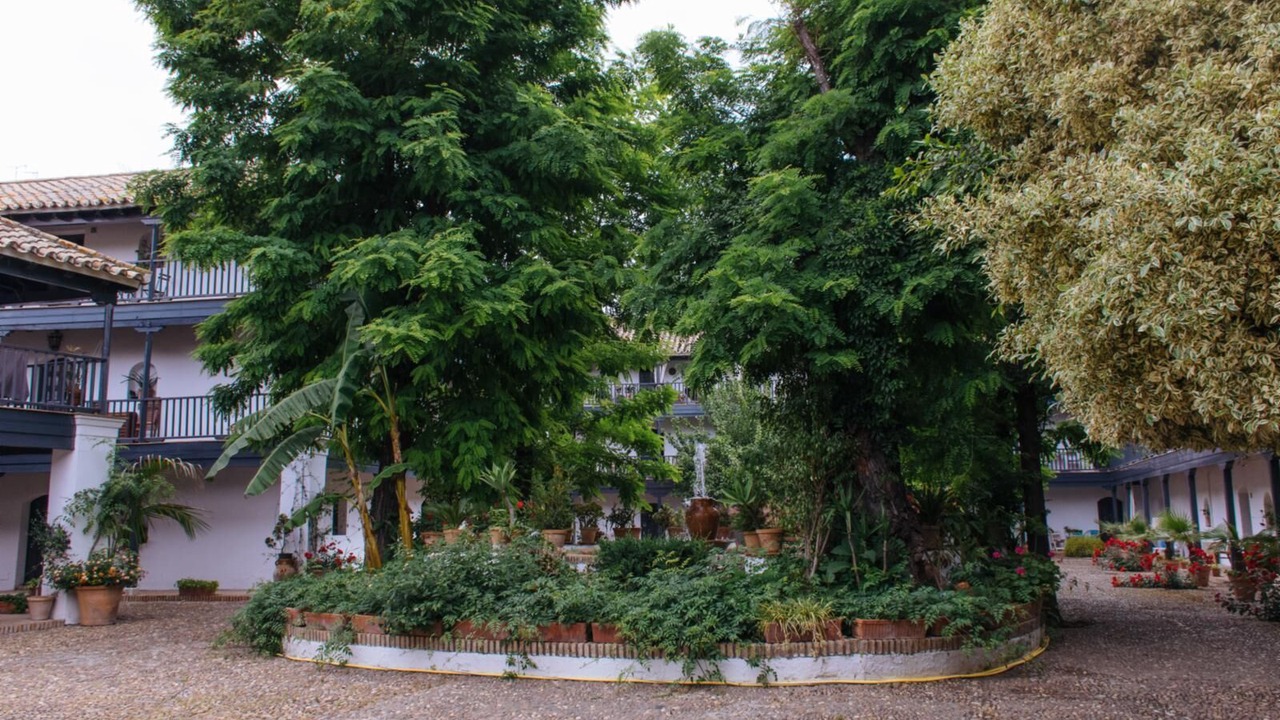 Photo of Outdoor in Santa Catalina
