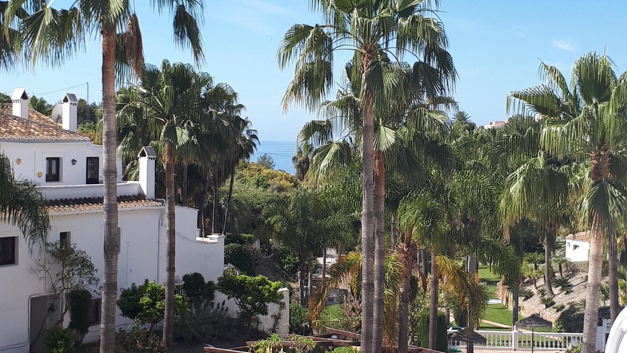 Photo of Others in Oasis del Capistrano
