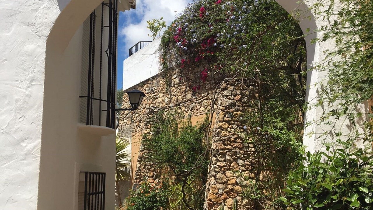 Photo of Others in Oasis del Capistrano