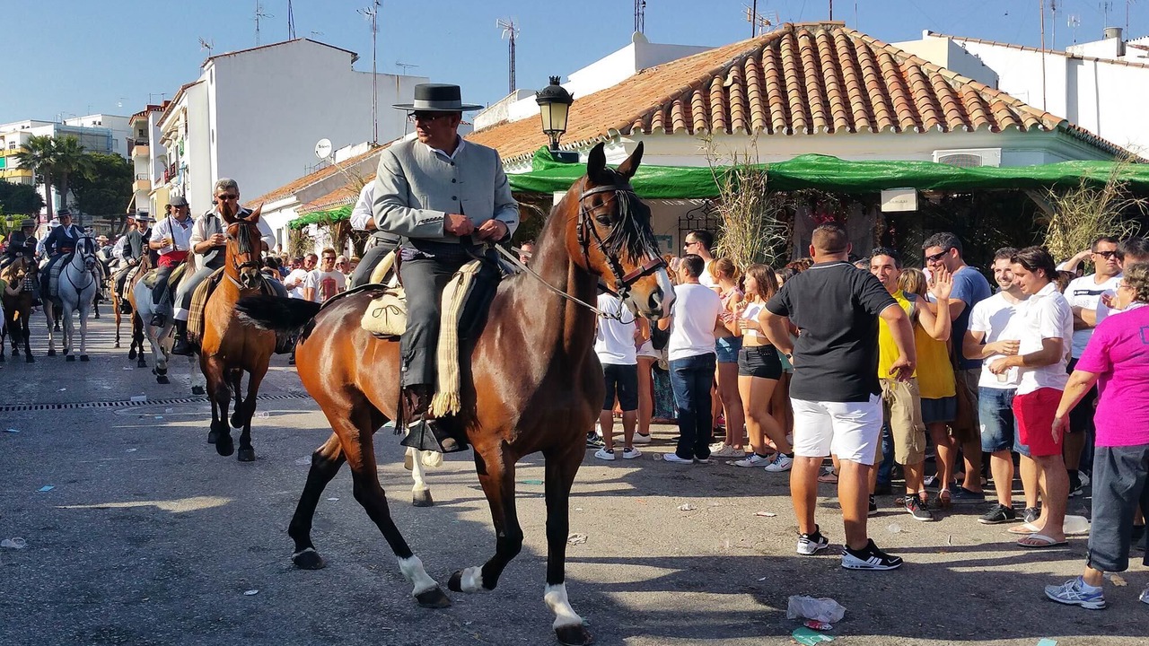 Photo of Others in Estepona