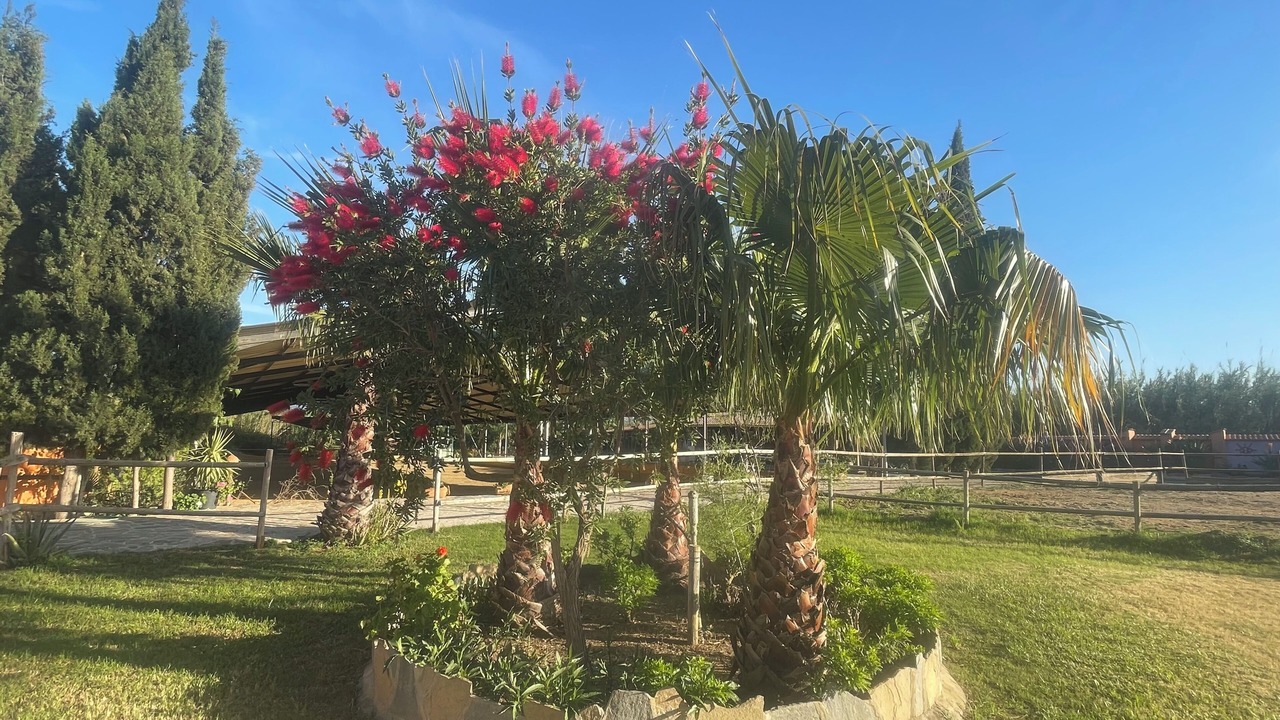 Photo of Outdoor in Coin