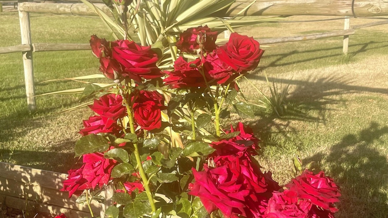 Photo of Outdoor in Coin