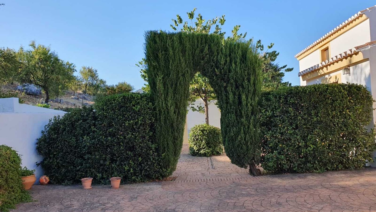 Photo of Outdoor in El Burgo