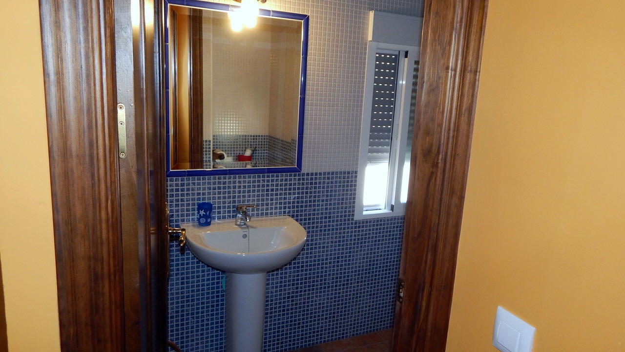 Photo of Bathroom in Baena