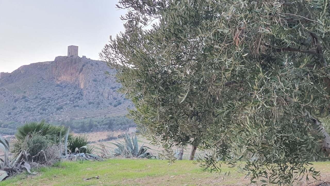 Photo of Others in Teba
