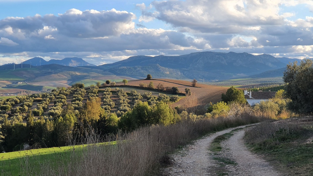 Photo of Outdoor in Teba
